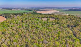 2970 Cooktown Rd, Bainbridge, GA 39817