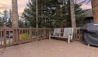 114 PARK FOREST Dr, Breckenridge, CO 80424