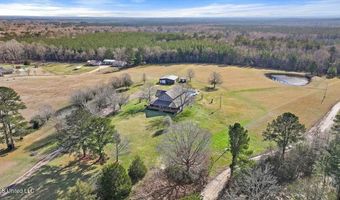 766 Pinola Braxton Rd, Braxton, MS 39044