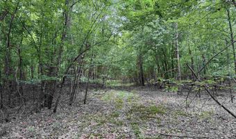 mt Olive Road, Arkadelphia, AR 71923