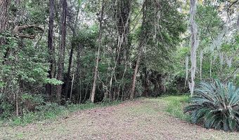 11317 NW 199TH Ave, Alachua, FL 32615