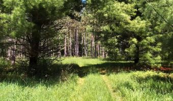 Lot 4 Chicago Avenue, Arkdale, WI 54613