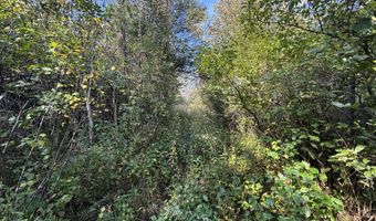 5280 Cathro Rd, Alpena, MI 49707