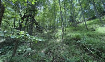 643 Pine Grove Rd, Beattyville, KY 41311