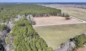 Creek Place Road, Arapahoe, NC 28510