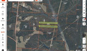 County Road 99, Abbeville, AL 36310