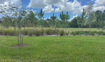 274 THOMPSON VILLAGE Ave, Apopka, FL 32703