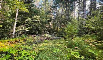 686 Wing Rd, Bethlehem, NH 03574