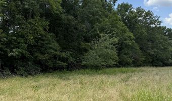 OLD FERRY Rd, Bath Springs, TN 38311