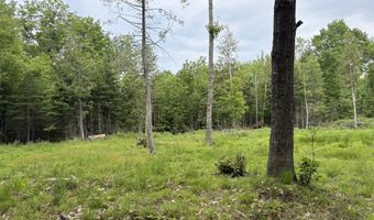 22 Monument Rd, Abbot, ME 04406