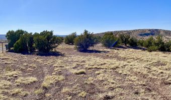 Tbd Co Rd 5062 Lot 1 3.53 Acres, Concho, AZ 85924