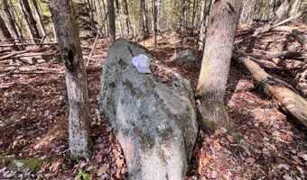 1235 White Hill Rd, Alma, NY 14715