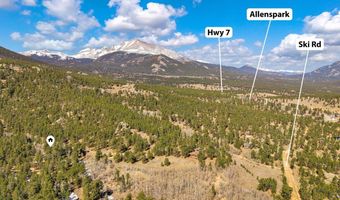 251 Haugen Slide Rd, Allenspark, CO 80510