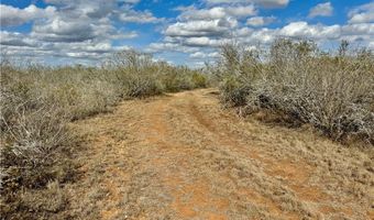 332 CR 171, Alice, TX 78332