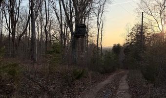 4393 Stoney Mountain Rd, Axton, VA 24112