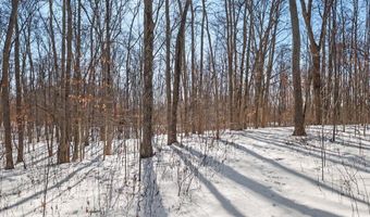 27 Mile Rd, Albion, MI 49224