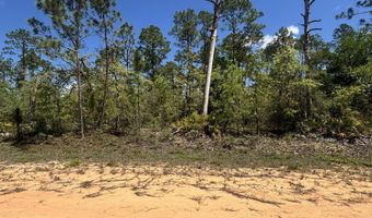 Fremont Avenue, Alford, FL 32420