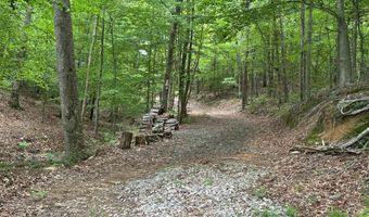 285 CO RD 235, Arley, AL 35541