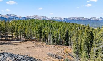 115 SALLIE BARBER Rd, Breckenridge, CO 80424