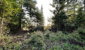 12 Th Ct, Bandon, OR 97411