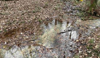 34655 Co Rd 49, Beaverton, AL 35544