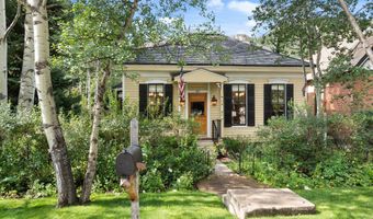 123 E Hallam St, Aspen, CO 81611