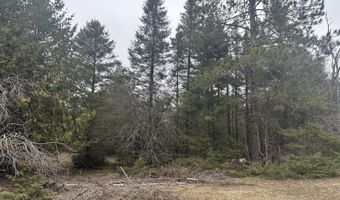 4200 Bloom Rd, Alpena, MI 49707