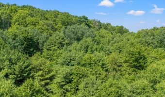 568 Hall, Afton, NY 13730