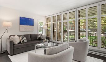 800 E Hopkins Ave A-3, Aspen, CO 81611