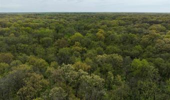 TBD 194th Avenue, Argyle, IA 52619