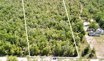 55 Th St, Bell, FL 32619