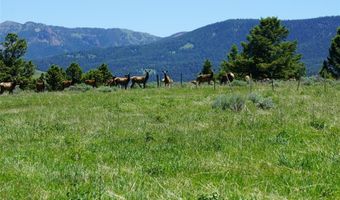 Tbd Timberloft, Big Sky, MT 59716