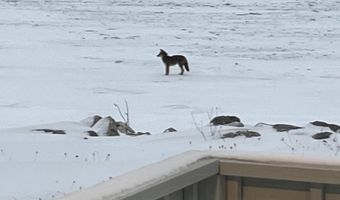 7314 N Point Shrs, Alpena, MI 49707