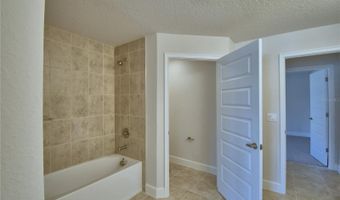 4539 SUNDEW Ln, Auburndale, FL 33823