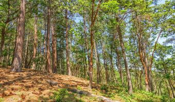 309 Granite St, Ashland, OR 97520