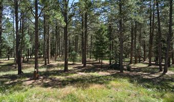 39 San Andres Dr, Angel Fire, NM 87710