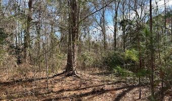 580 Main St W, Abbeville, GA 31001