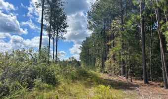 60 Ac Shannon Rd, Blackstock, SC 29014