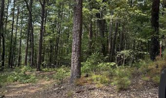 Tract 6 Cascadia Beach, Bee Branch, AR 72013