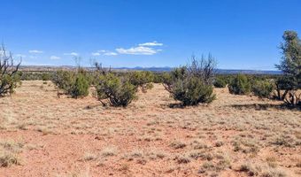 Lot 44 Ranch Of The White Mountains N9119, Concho, AZ 85924
