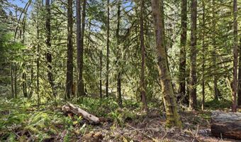 NW Green Mountain Rd 1, Banks, OR 97106