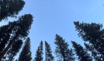 433 97 Cir, Blue River, CO 80424