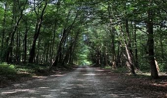 209 Alice Moss Ln, Alto, GA 30510