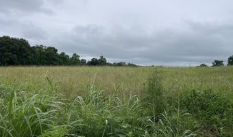 1107 Lower Ford Rd, Ava, MO 65608