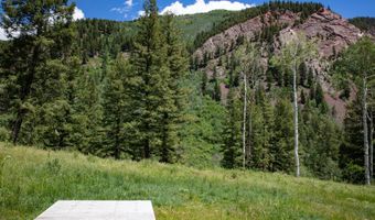 640 S Hayden Rd, Aspen, CO 81611