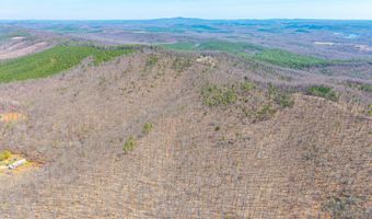 Larkin Mountain, Amherst, VA 24521