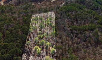 15045 LOCK 17 Rd Lot 1, Adger, AL 35006