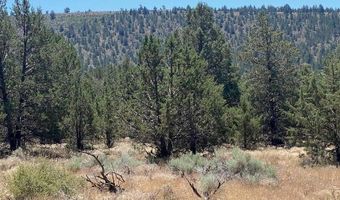 5879 W Langell Valley Rd, Bonanza, OR 97623