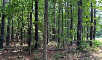 Pleasant Hill Road, Ashland, MS 38603