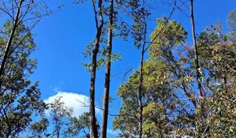 0 Mount Horeb Rd, Amherst, VA 24521